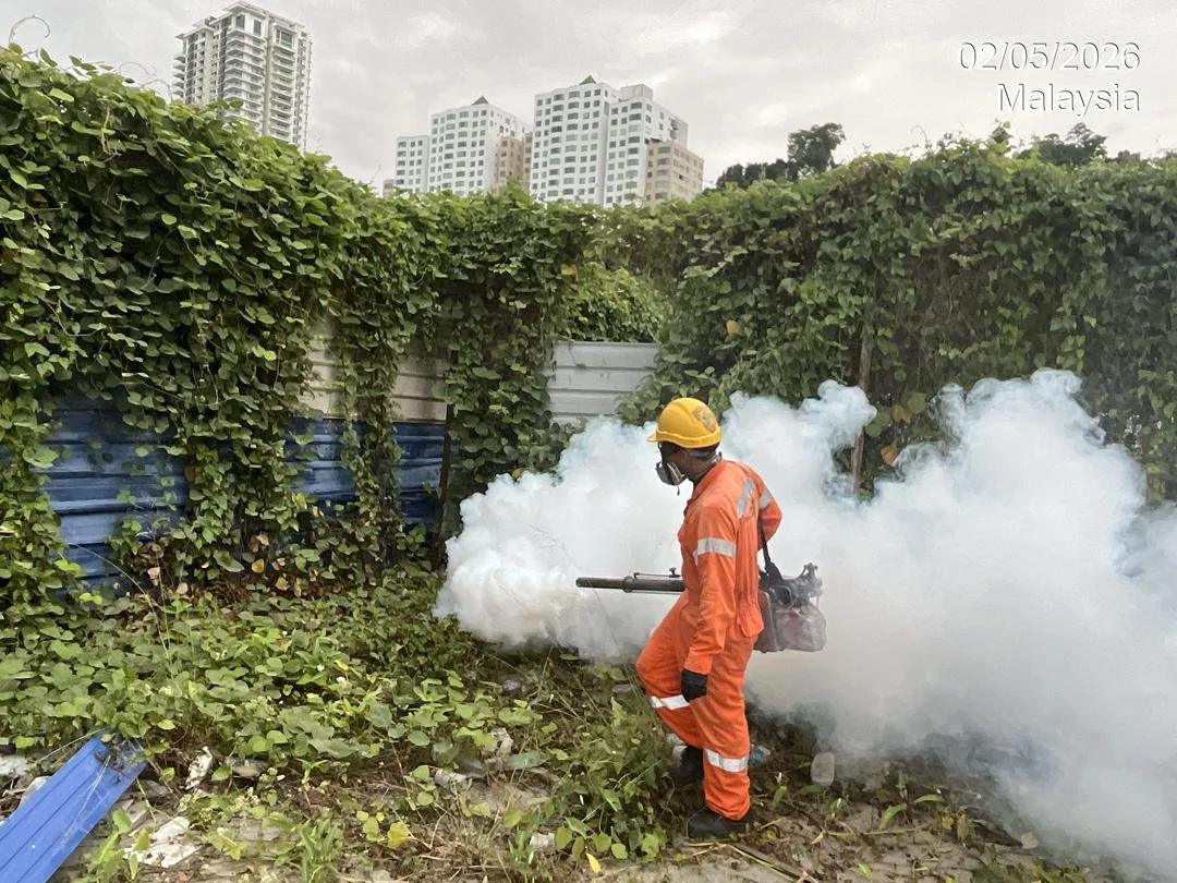 Mosquito Fogging — Outdoor Area