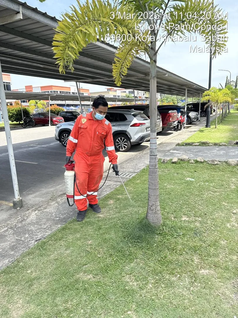 Pest Control Spraying — Palm Condo, KK