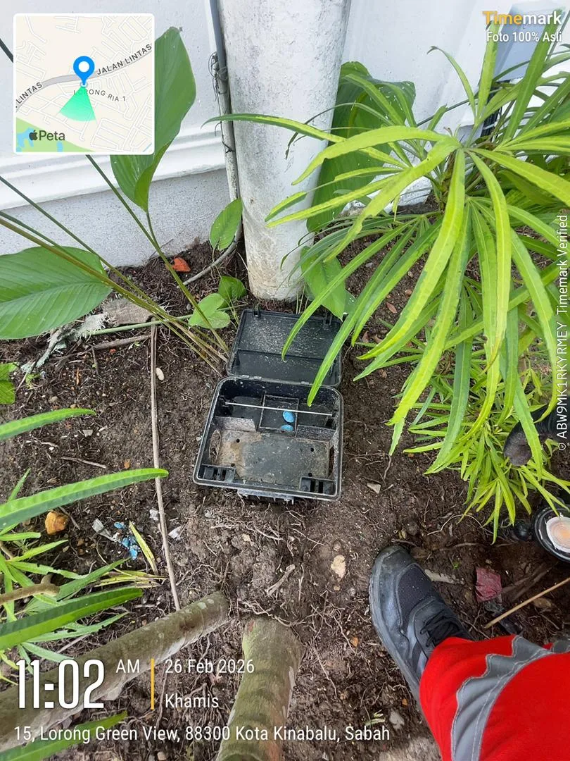 Rodent Bait Station Installation — Residential